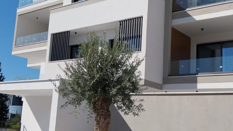 The lovely residence