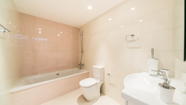 Deluxe fully furnished sea shore apartment