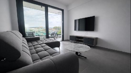 A modern, fully furnished apartment