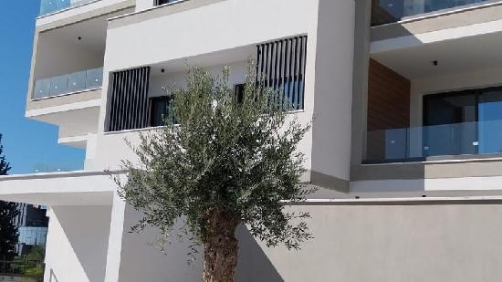 The lovely residence